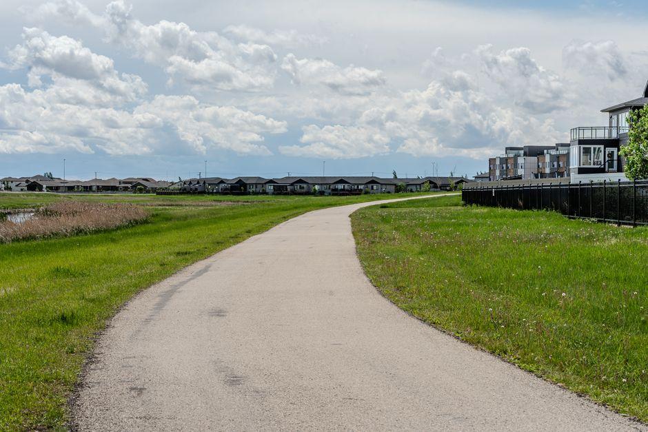 Suburban Pathway on a Cloudy Day