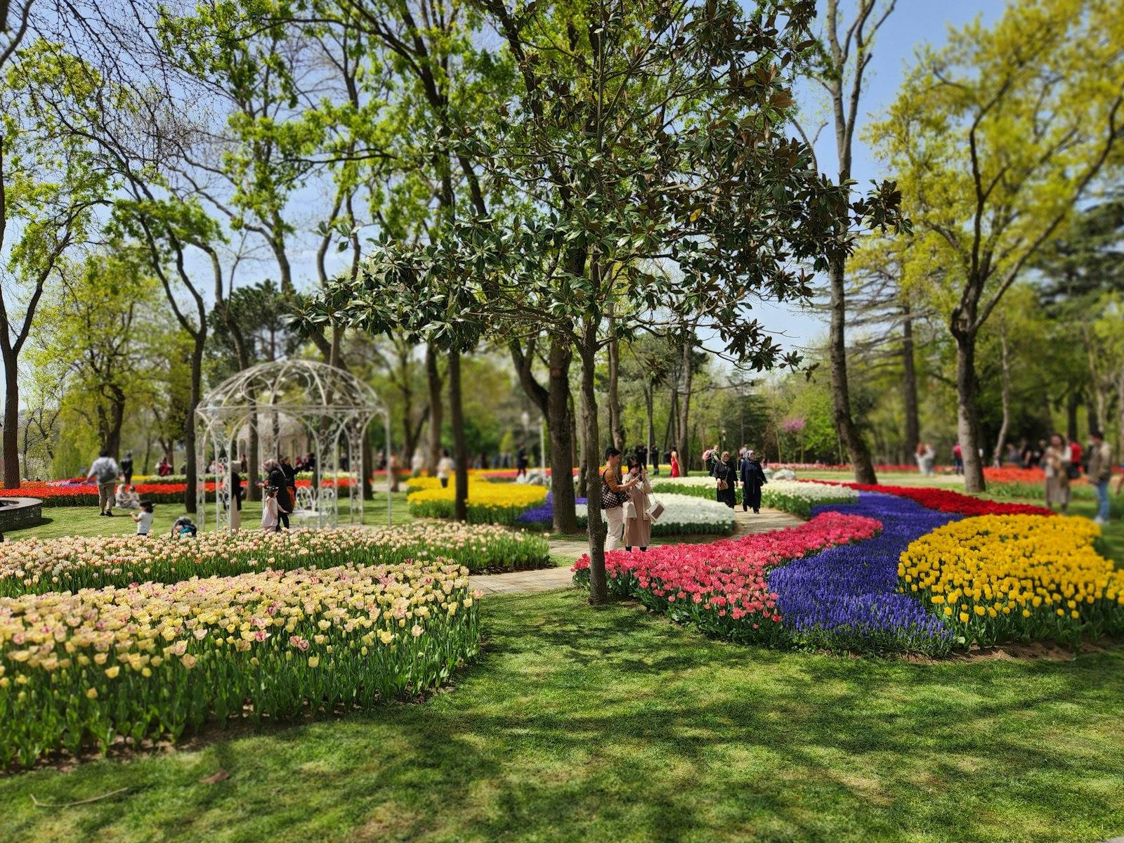 Istanbul Opens Safe Cycling Routes for Families Across Parks