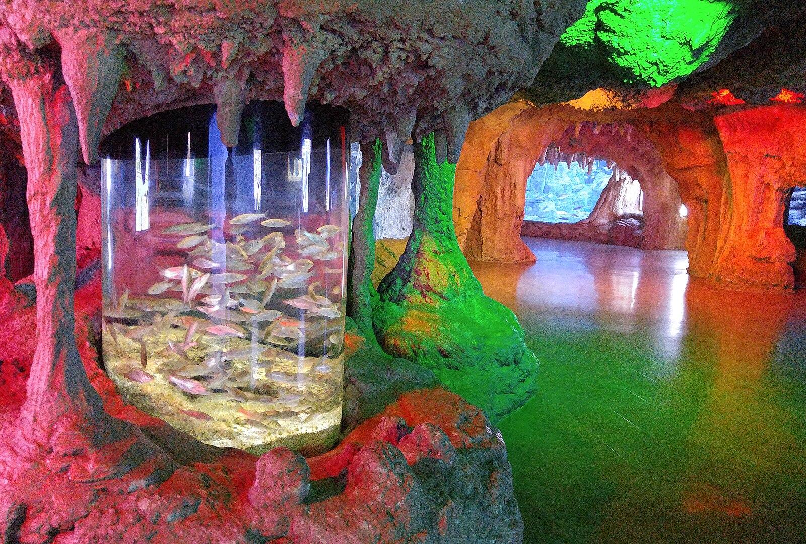 Istanbul Aquarium Tourism in Turkey آکواریوم استانبول 18